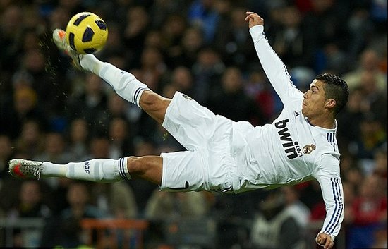 个信天翁的 个信天翁的